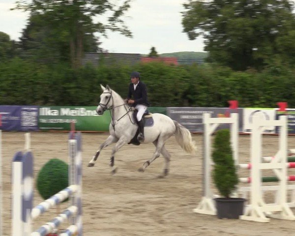 Reitturnier Fröndenberg 2024