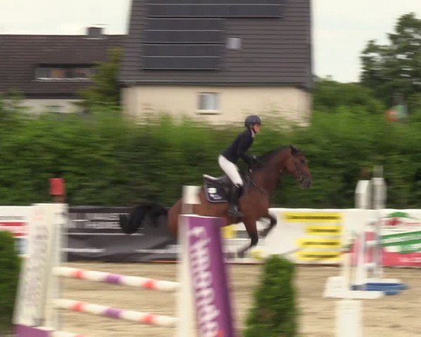 Reitturnier Fröndenberg 2024