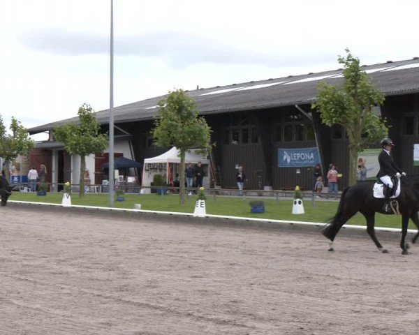 Reitturnier Fröndenberg 2024