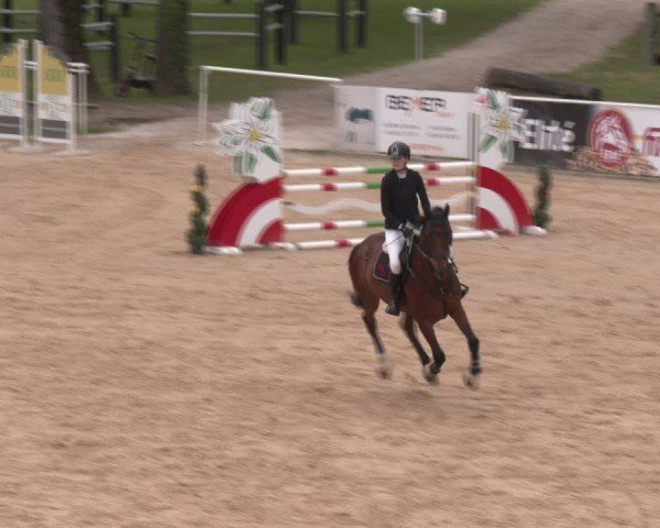 Reitturnier Stadl-Paura 2024