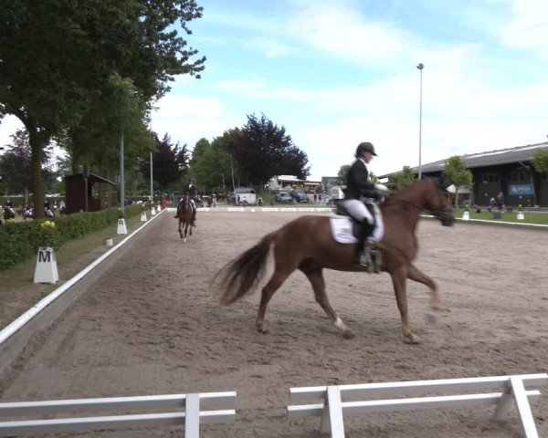 Reitturnier Fröndenberg 2024