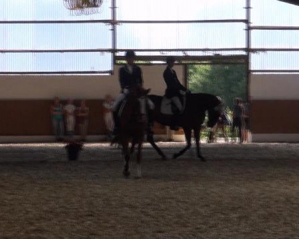 Datteln 2012