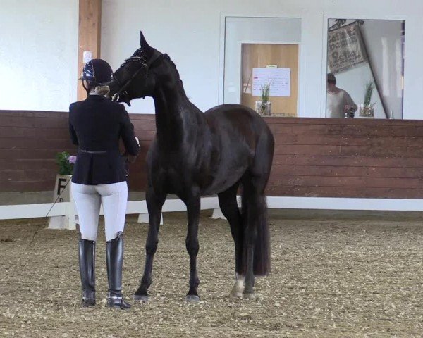 Reitturnier Coesfeld/Lette 2024