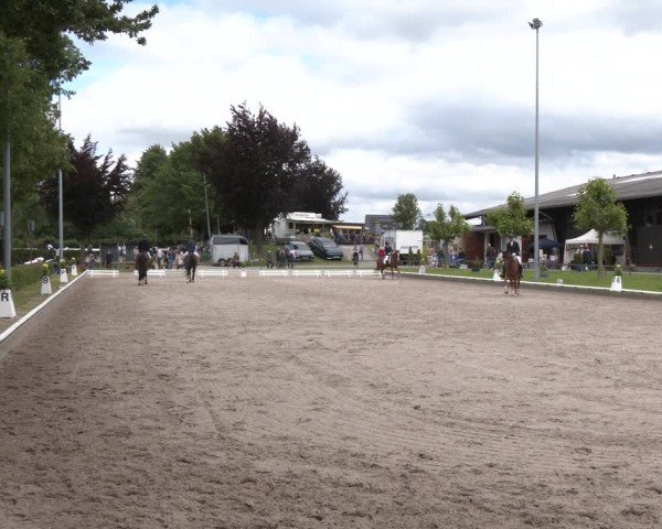 Reitturnier Fröndenberg 2024