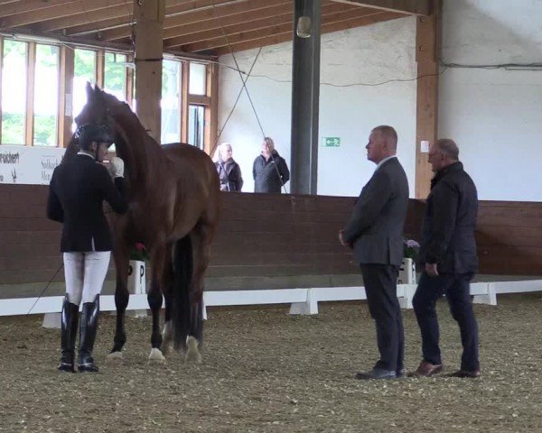 Reitturnier Coesfeld/Lette 2024