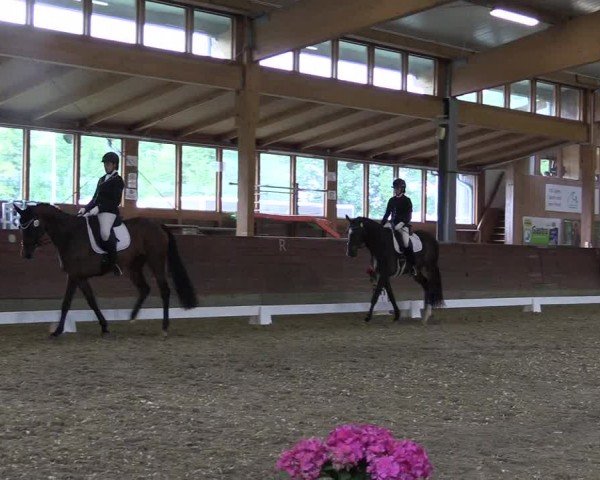 Reitturnier Coesfeld/Lette 2024