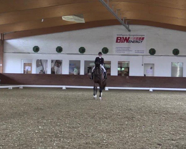 Reitturnier Coesfeld/Lette 2024