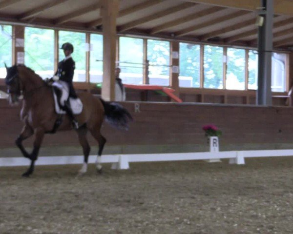 Reitturnier Coesfeld/Lette 2024