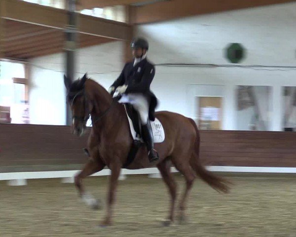 Reitturnier Coesfeld/Lette 2024