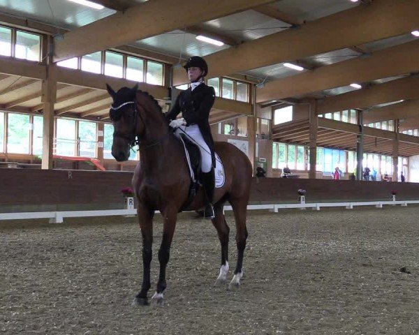 Reitturnier Coesfeld/Lette 2024