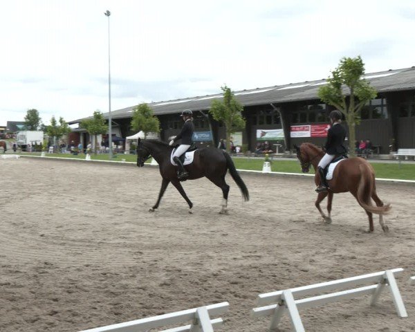 Reitturnier Fröndenberg 2024