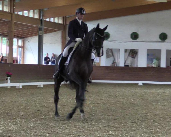 Reitturnier Coesfeld/Lette 2024
