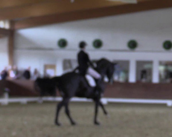 Reitturnier Coesfeld/Lette 2024