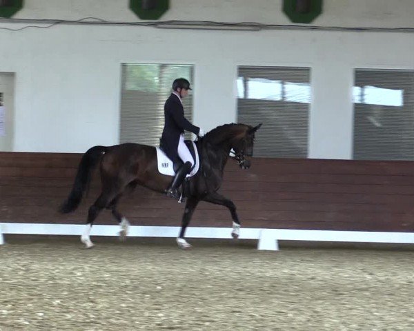 Reitturnier Coesfeld/Lette 2024