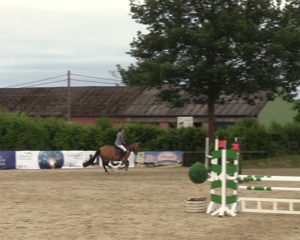 Reitturnier Fröndenberg 2024