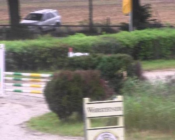 Reit- und Springturnier des LRFV Recklinghausen e.V. vom 23.-26.08.2012