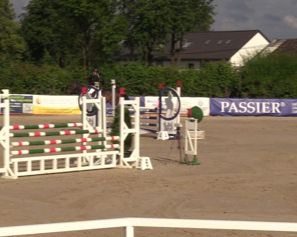 Reitturnier Fröndenberg 2024