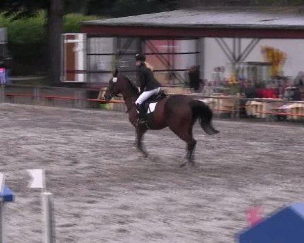 Reit- und Springturnier des LRFV Recklinghausen e.V. vom 23.-26.08.2012