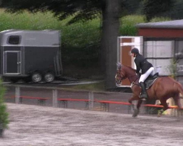 Reit- und Springturnier des LRFV Recklinghausen e.V. vom 23.-26.08.2012
