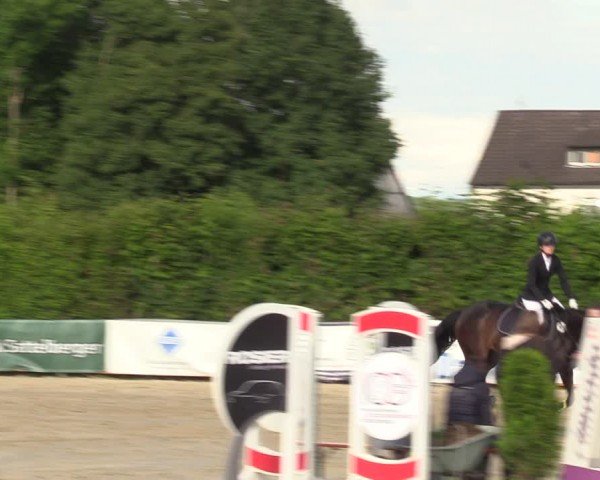 Reitturnier Fröndenberg 2024