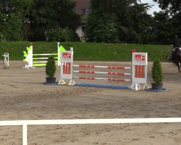Reitturnier Fröndenberg 2024