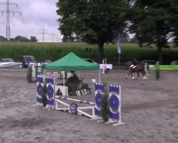 Reit- und Springturnier des LRFV Recklinghausen e.V. vom 23.-26.08.2012
