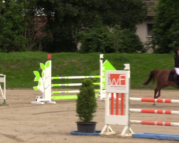 Reitturnier Fröndenberg 2024