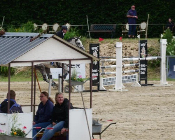 Reitturnier Mücke-Atzenhain 2024