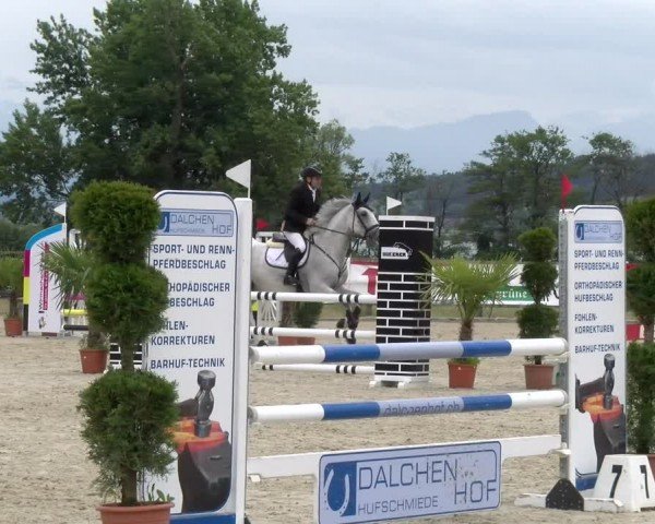 Reitturnier Hitzkirch 2024