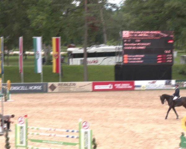 Reitturnier Stadl-Paura 2024