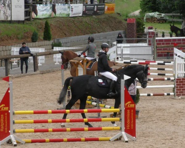 Reitturnier Berching/Opf. 2024