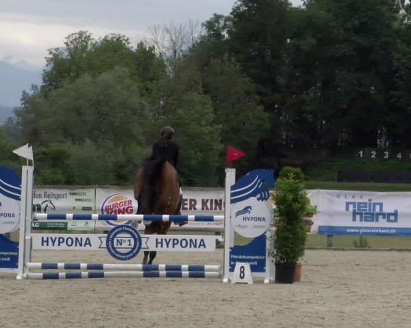 Reitturnier Hitzkirch 2024