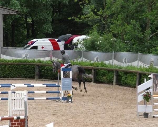 Reitturnier Berching/Opf. 2024