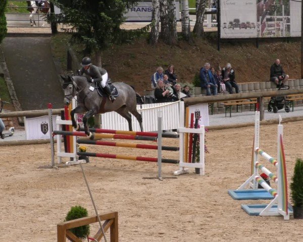 Reitturnier Berching/Opf. 2024