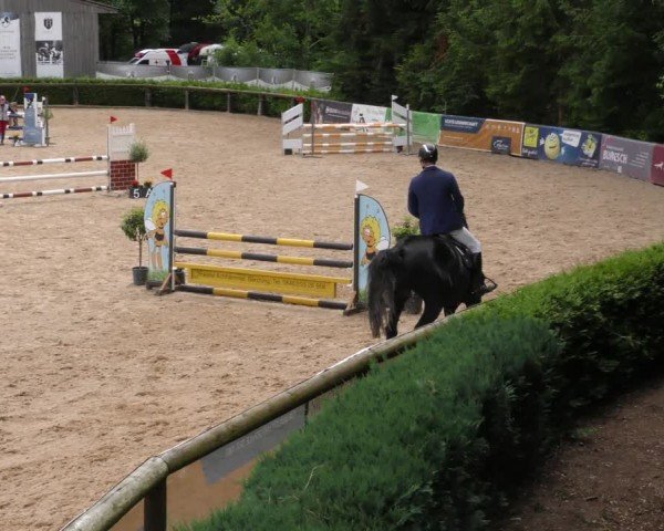 Reitturnier Berching/Opf. 2024