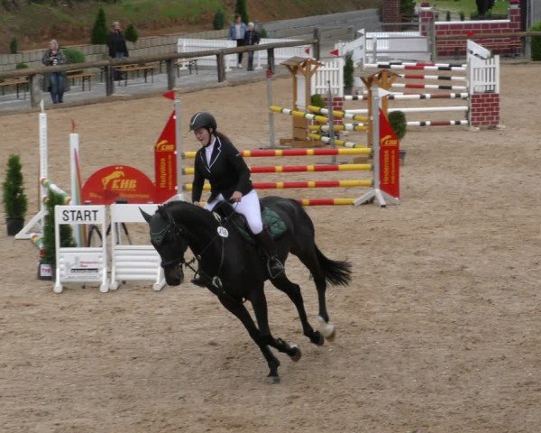 Reitturnier Berching/Opf. 2024