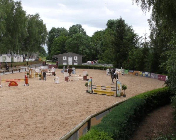 Reitturnier Berching/Opf. 2024