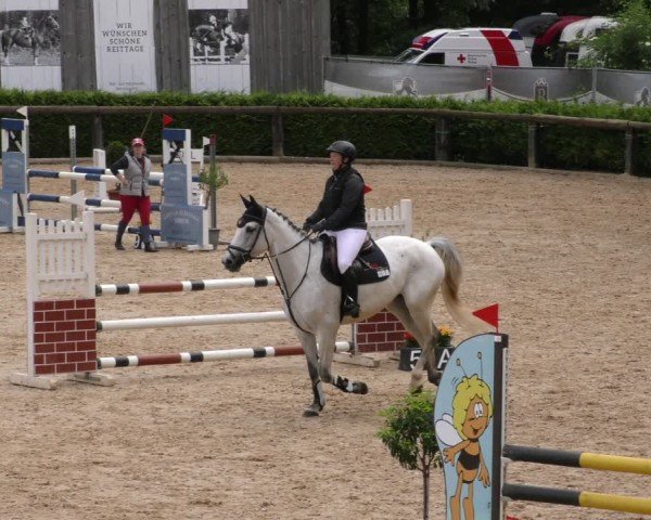 Reitturnier Berching/Opf. 2024