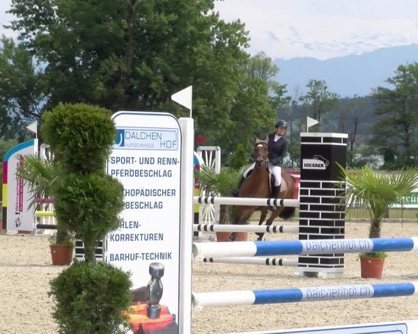 Reitturnier Hitzkirch 2024