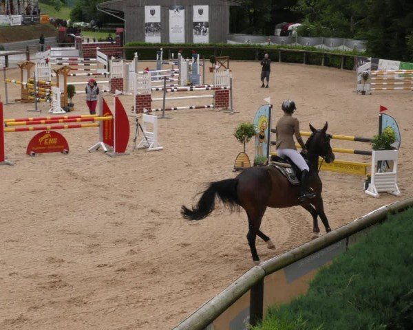Reitturnier Berching/Opf. 2024
