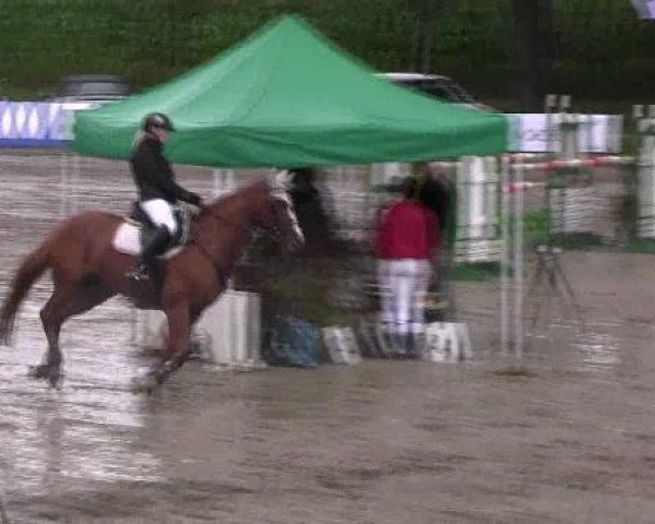 Reit- und Springturnier des LRFV Recklinghausen e.V. vom 23.-26.08.2012
