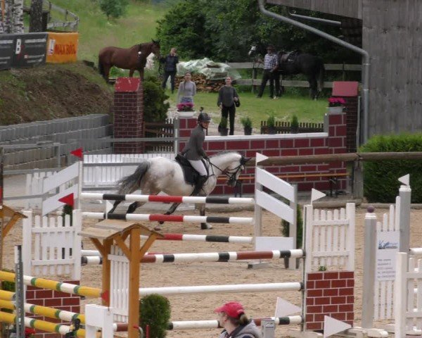 Reitturnier Berching/Opf. 2024