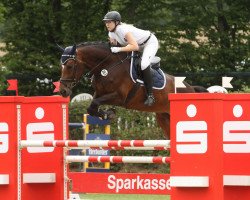 jumper Coeur Bon 2 (Hanoverian, 2006, from Contendro I)