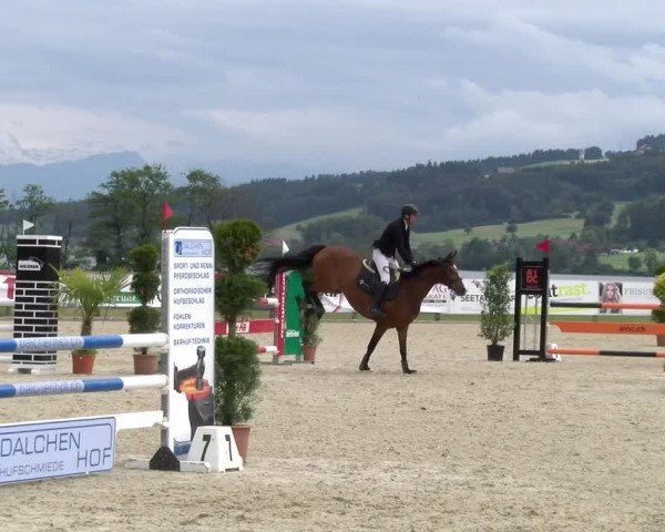 Reitturnier Hitzkirch 2024