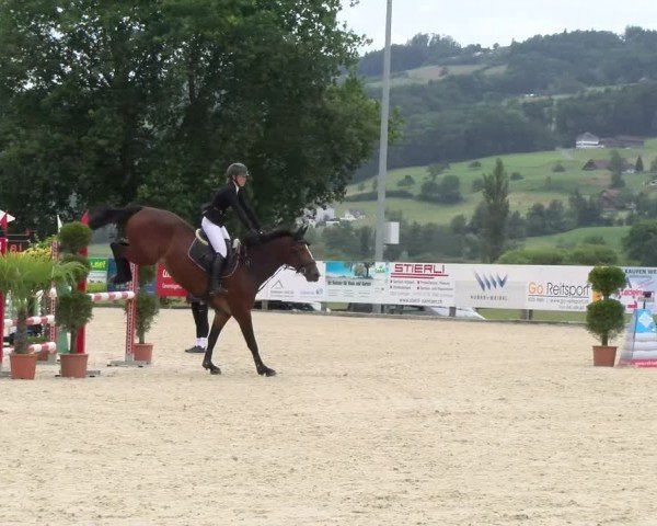 Reitturnier Hitzkirch 2024