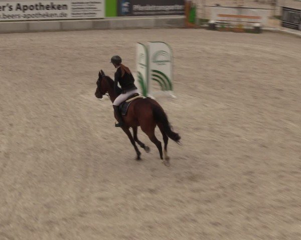 Reitturnier Dorfchemnitz 2024