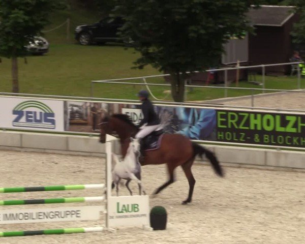 Reitturnier Dorfchemnitz 2024