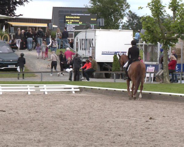 Reitturnier Fröndenberg 2024