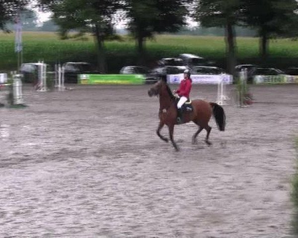 Reit- und Springturnier des LRFV Recklinghausen e.V. vom 23.-26.08.2012