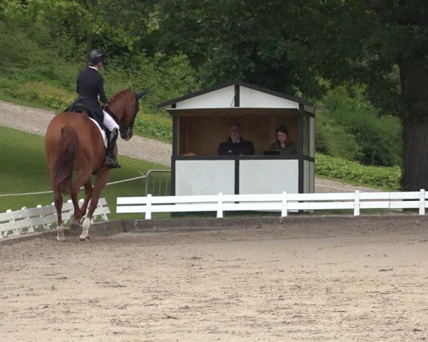 Reitturnier Nörten-Hardenberg 2024